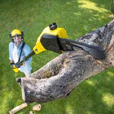 Mulching Services in Oak Hills, PA