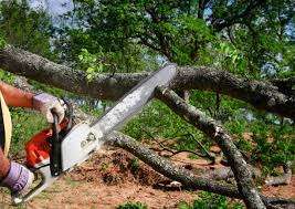 Best Pest Control for Lawns  in Oak Hills, PA