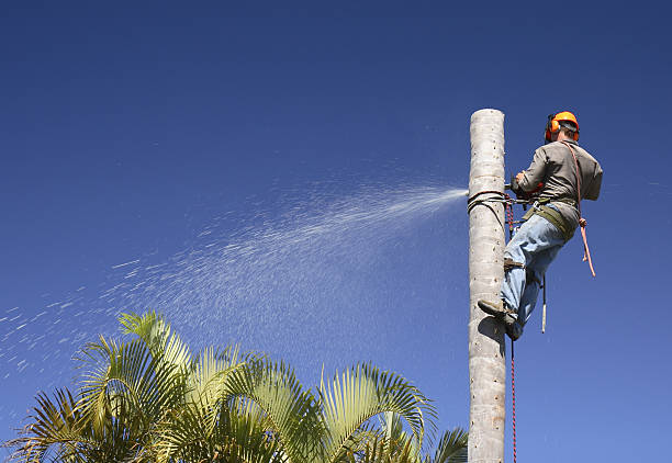 Best Lawn Watering Services  in Oak Hills, PA