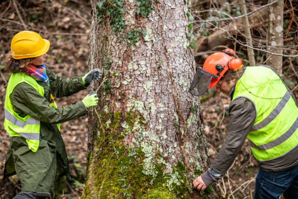 Best Soil Testing and Treatment  in Oak Hills, PA